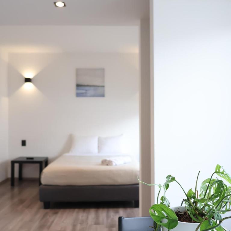 SanRafa Home Office Suites - Standard Suite - 10