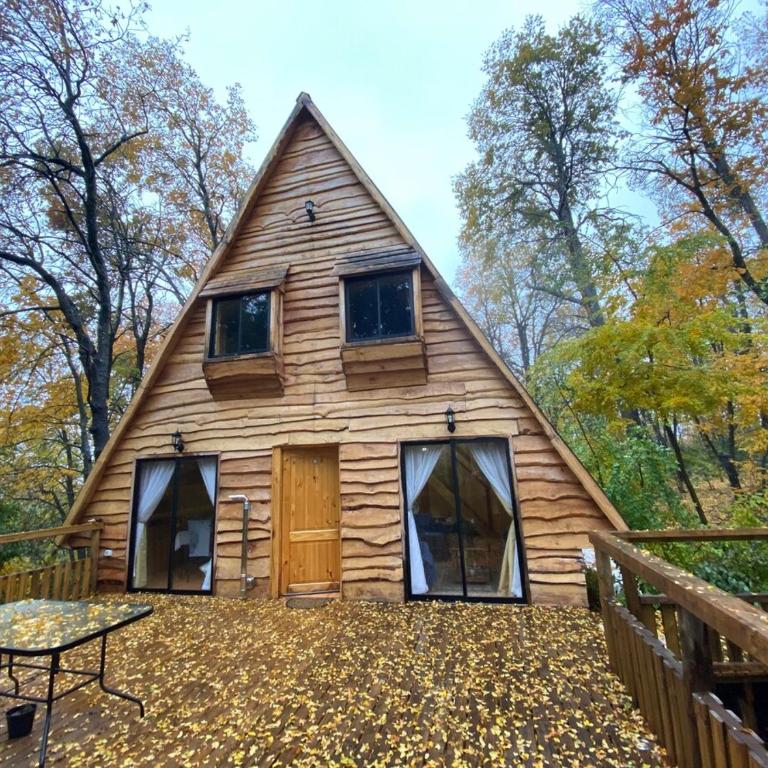 Refugio de montaña Amancay, Vilches Alto - Chalet - 4