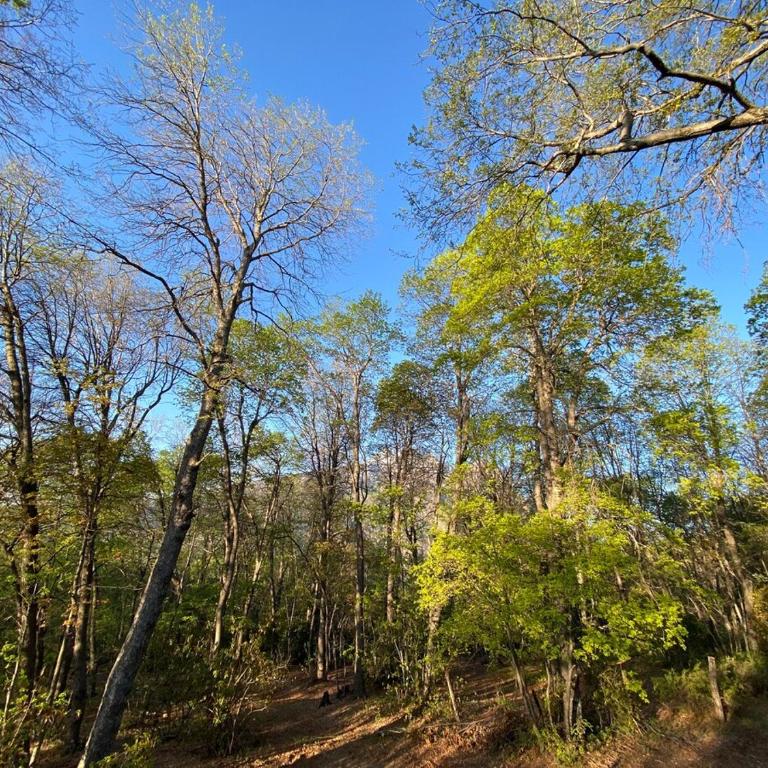 Refugio de montaña Amancay, Vilches Alto - Chalet - 12