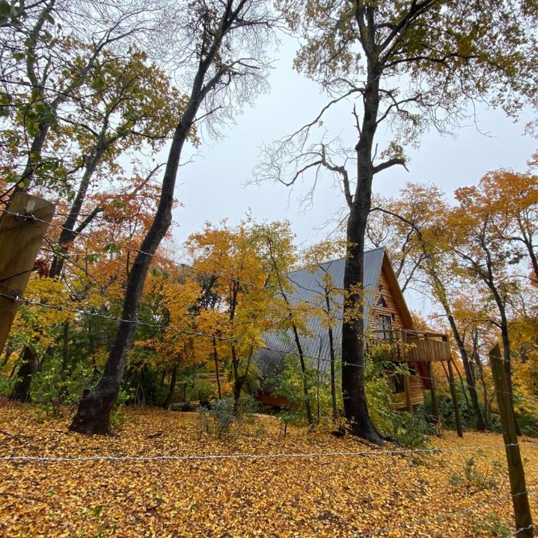 Refugio de montaña Amancay, Vilches Alto - Chalet - 14