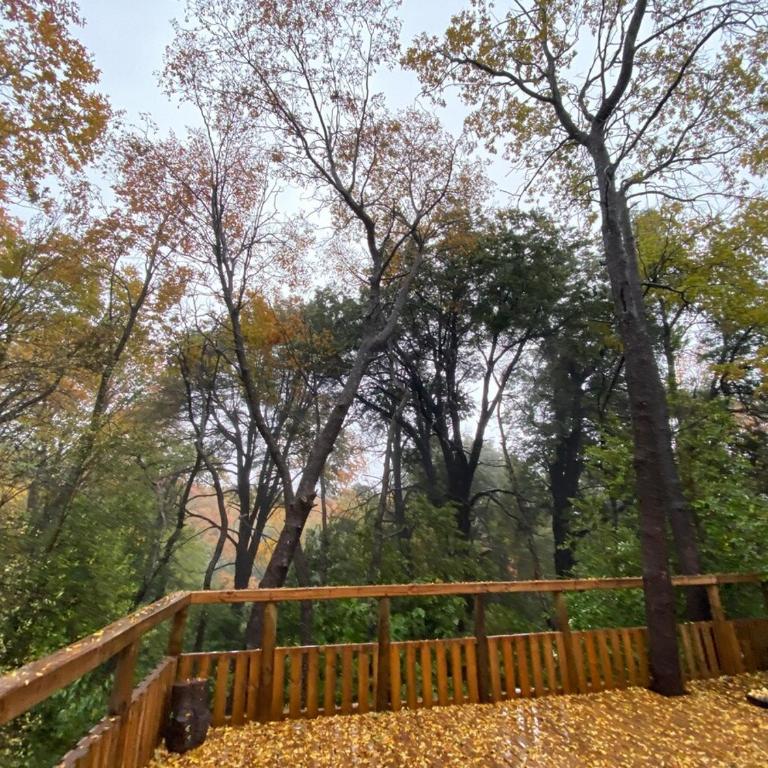 Refugio de montaña Amancay, Vilches Alto - Chalet - 49