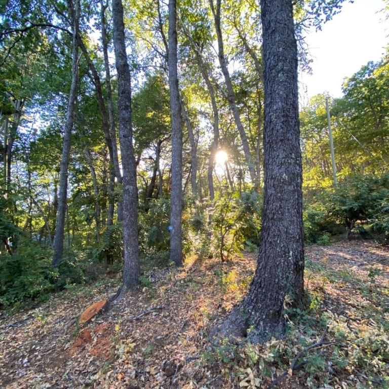 Refugio de montaña Amancay, Vilches Alto - Chalet - 63