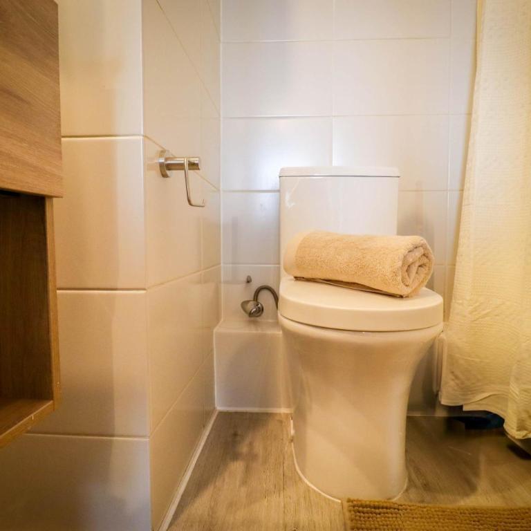 HOM I Depto A Pasos Cerro Santa Lucia Stgo - Apartment - 24