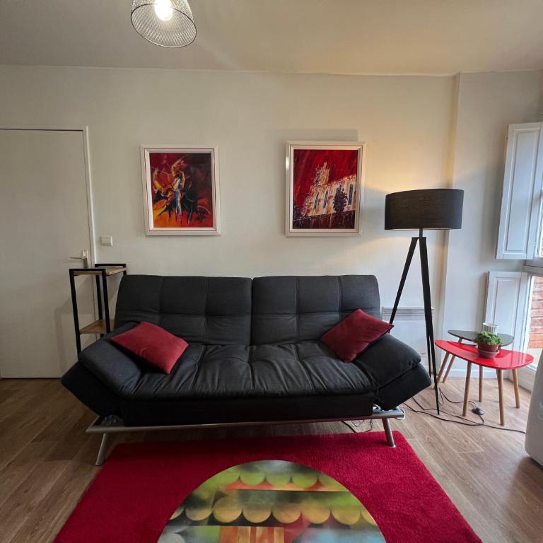 Appartement lumineux avec vue sur le Tarn - Apartment mit 1 Schlafzimmer - 9
