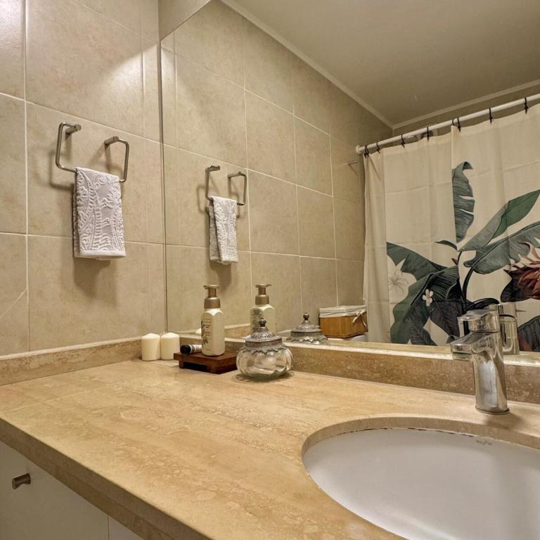 Cozy and bright apartment in Providencia - Two-Bedroom Apartment - 3