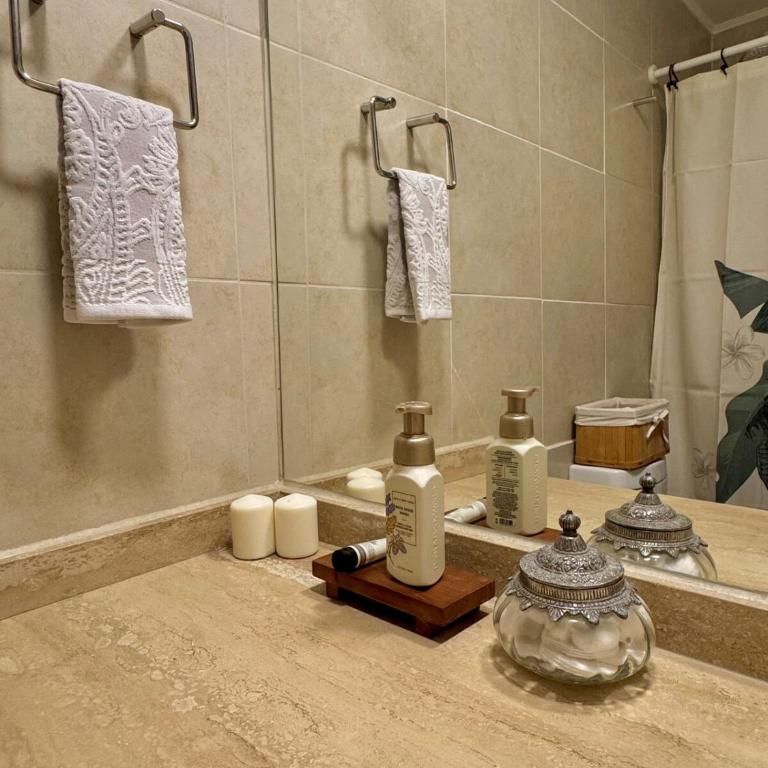 Cozy and bright apartment in Providencia - Two-Bedroom Apartment - 33