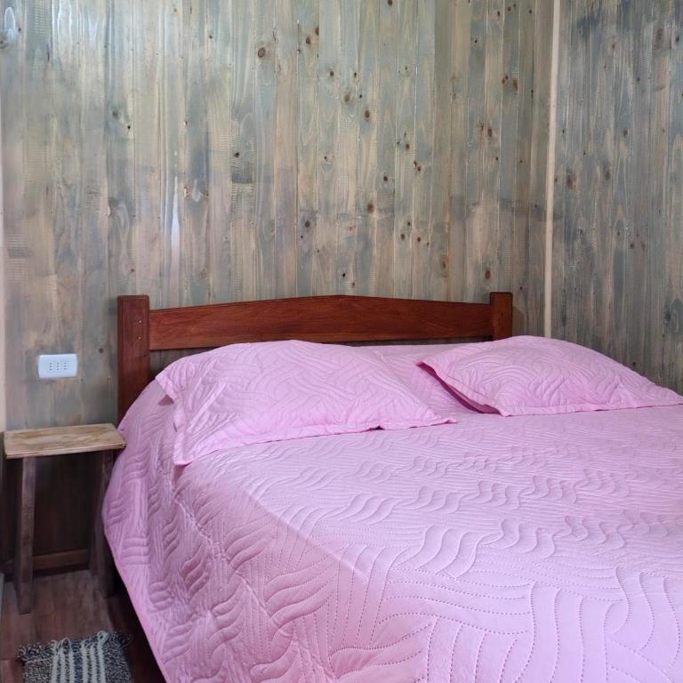 Cabaña acogedora en liquiñe - Two-Bedroom House - 16