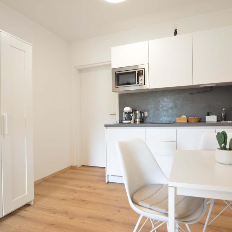 Apartment mit sonnigem Balkon in Ruhelage - Apartment mit 1 Schlafzimmer - 3