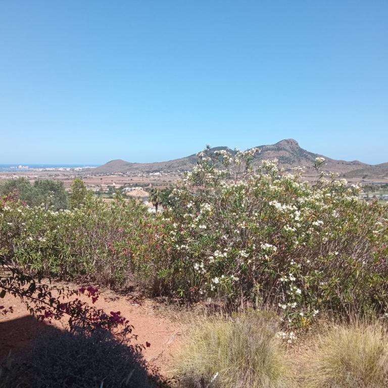 ELIO La Manga Club 4, golf & spa - Apartamento de 2 dormitorios con terraza - 5