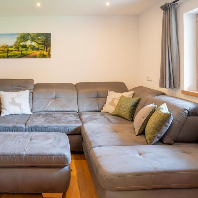Oberdachebenhof Dienten - Appartamento con 2 Camere da Letto e Terrazza - 6