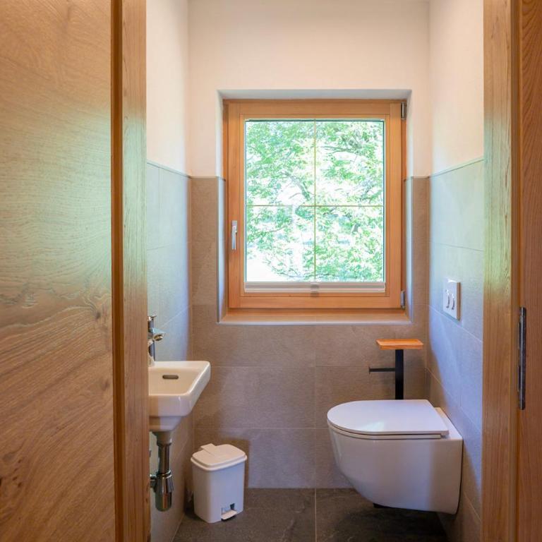 Oberdachebenhof Dienten - Appartamento con 2 Camere da Letto e Terrazza - 11