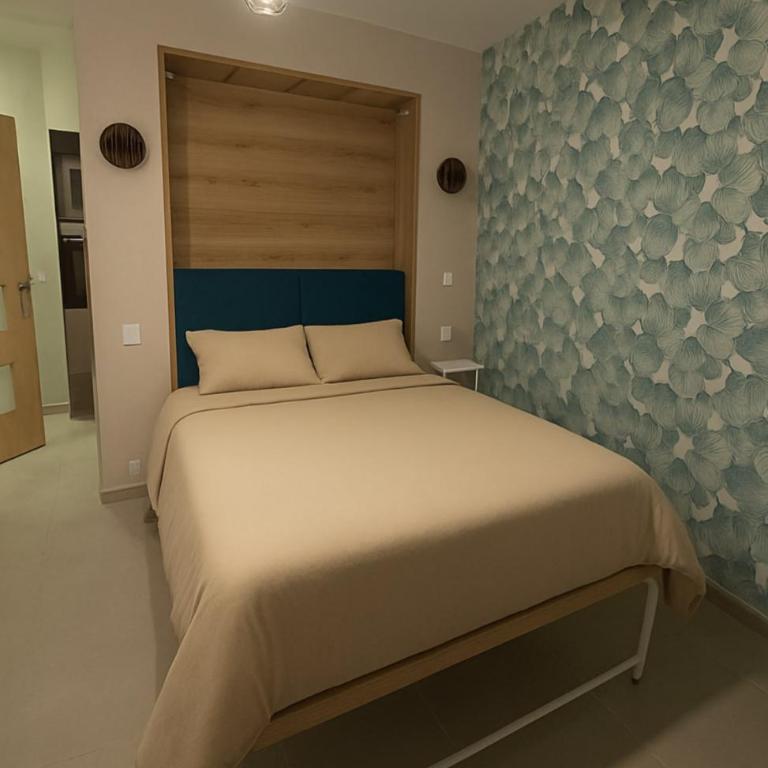 Studio au coeur de Bagneres - Appartement 1 Chambre - 6