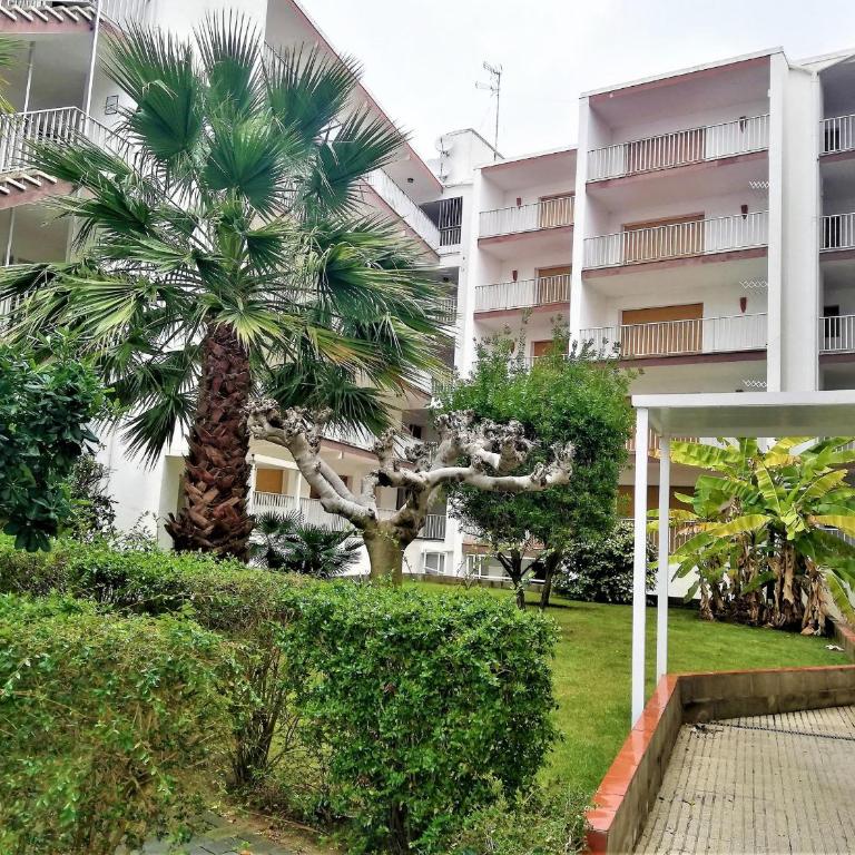 Apartamento 6 pers. en Santa Margarida - Terraza & Confort - ES-258-67 - Apartamento - 21