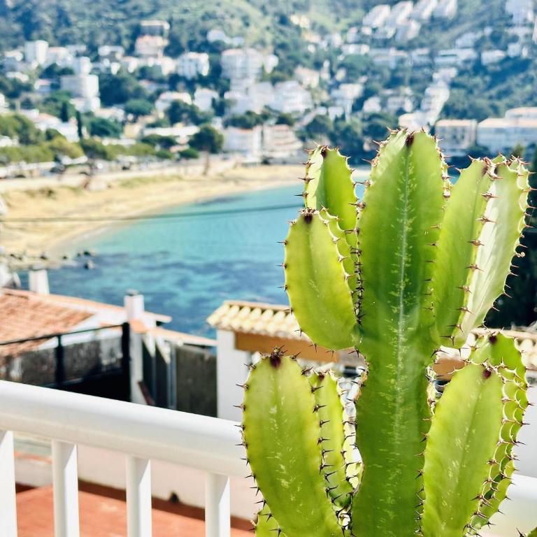 EL SOL. Tu hogar junto al mar – Apartamento cómodo para 5 personas en Roses. - ES-258-57 - Apartment - 12