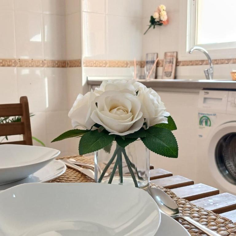 -MalagaSunApts- City Centre SharedTerrace - Apartamento de 1 dormitorio - 17