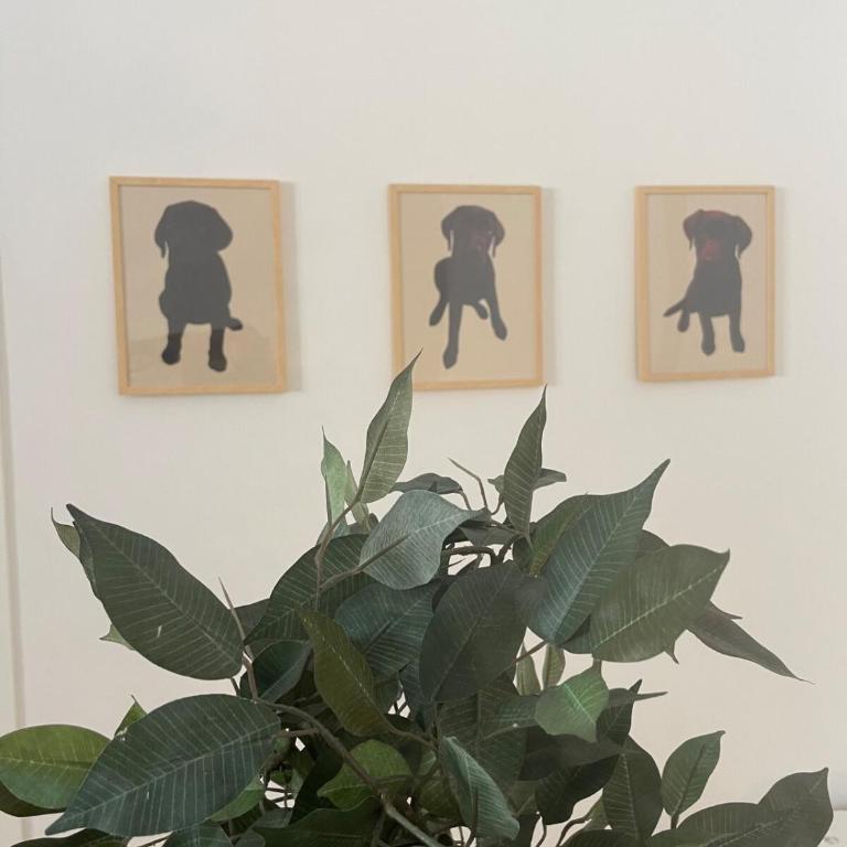 Loft "Torino con la Mole" - Appartamento con 1 Camera da Letto - 23
