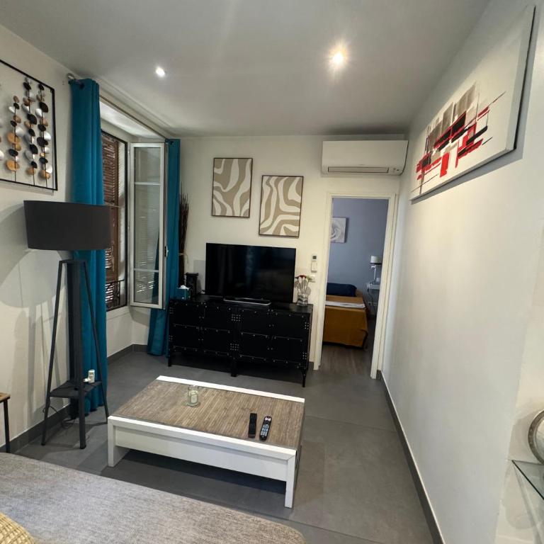 Agreable 2 pièces Nice liberation - Appartement 1 Chambre - 37