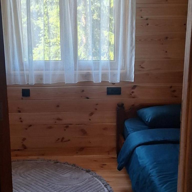 Vikendica Dunja - Vacation Home - 9