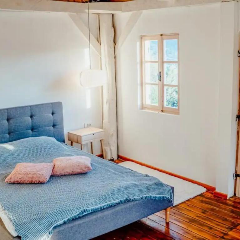 Old Wine House - Montenegro - Apartman - 7