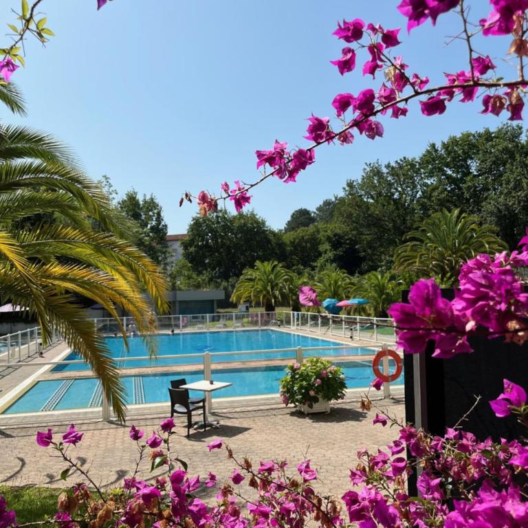 Hotel Résidence Anglet Biarritz-Parme - Studio - Vue sur Piscine - 6