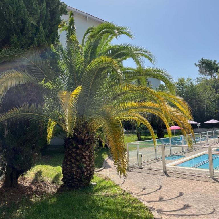 Hotel Résidence Anglet Biarritz-Parme - Studio - Vue sur Piscine - 8
