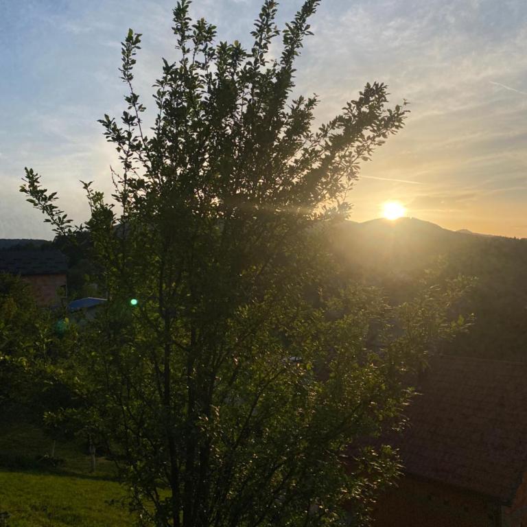 Villa Sunny Alley - Sunčani Sokak - Two-Bedroom Apartment with Terrace - 26