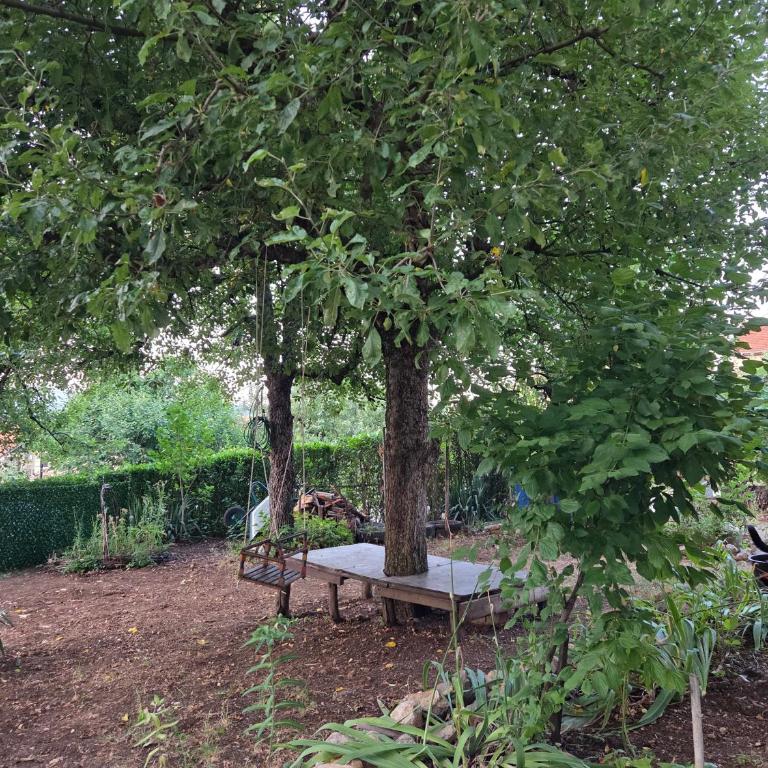 Studio Sanader - Apartman sa 1 Spavaćom Sobom - 21