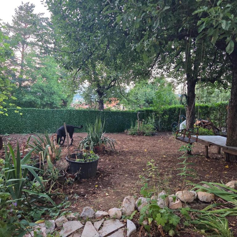 Studio Sanader - Apartman sa 1 Spavaćom Sobom - 20