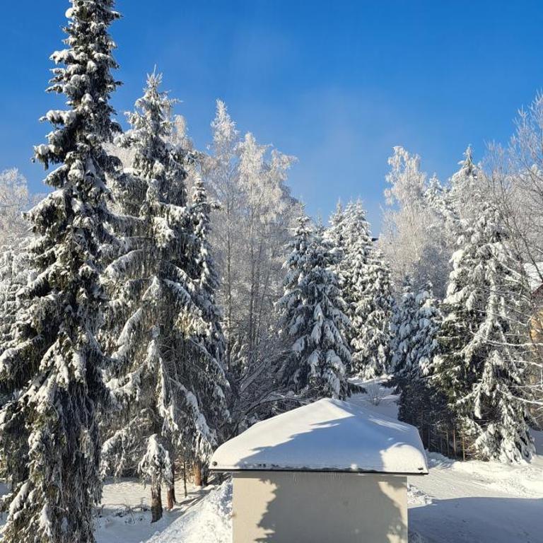 Zlatibor Stan Izdavanje - One-Bedroom Apartment - 6