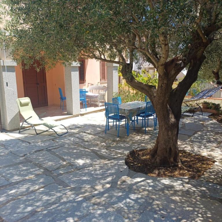 Appartamento Susanna - Appartamento Standard con 2 Camere da Letto - 17