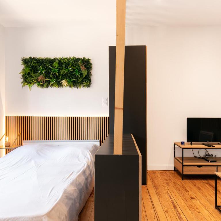 Joli appart quartier Lardenne - Apartamento de 1 dormitorio - 2