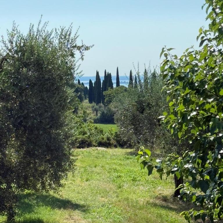Padenghe Olive House - Ground-Floor Lake View Amid Olives - Casa con 2 Camere da Letto - 4