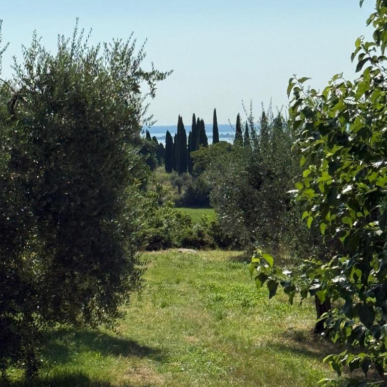 Padenghe Olive House - Ground-Floor Lake View Amid Olives - Casa con 2 Camere da Letto - 25