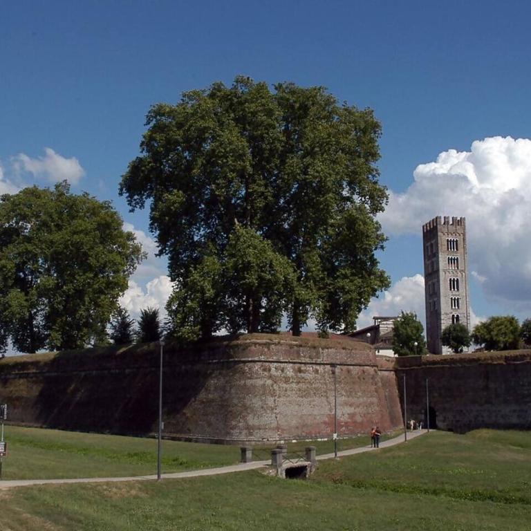 Guinigi House - Appartamento con 2 Camere da Letto - 34