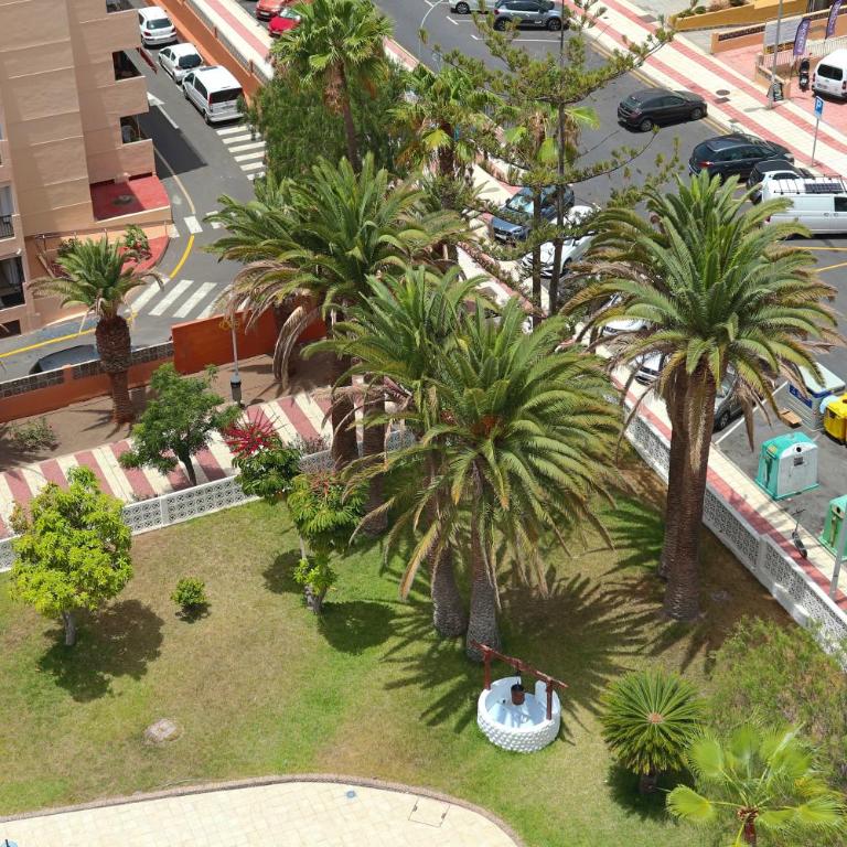 Paradise Ocean View - Apartamento de 2 dormitorios - 63