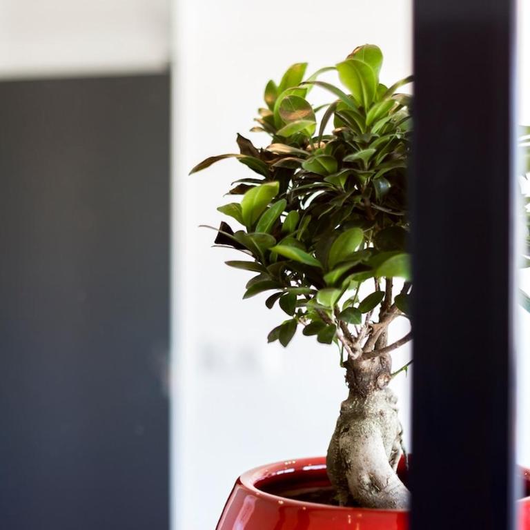 COCON - PartDieu l Parking l Climatisation by Dreamy Flat Lyon - Apartment mit 1 Schlafzimmer - 29