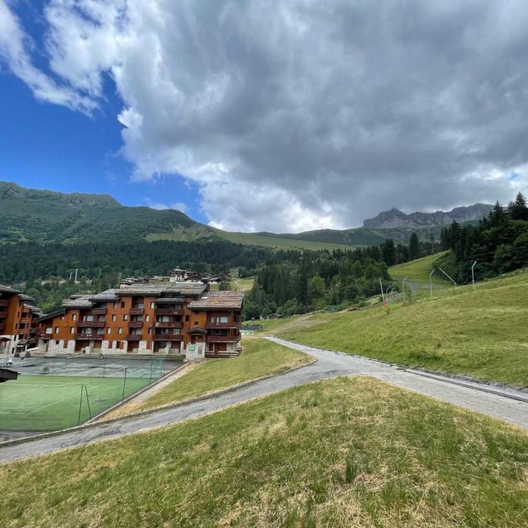 Studio cosy près des pistes à Valmorel, animaux admis - FR-1-356-349 - Apartamento - 13