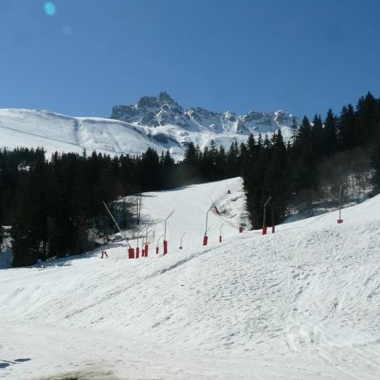 Studio cosy près des pistes à Valmorel, animaux admis - FR-1-356-349 - Apartamento - 17