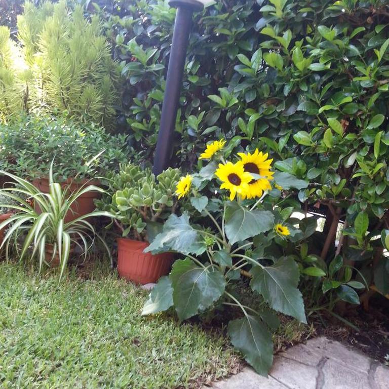 Etna, Taormina & Sea, Cozy Apartment in residence - Appartamento con Vista Piscina - 25