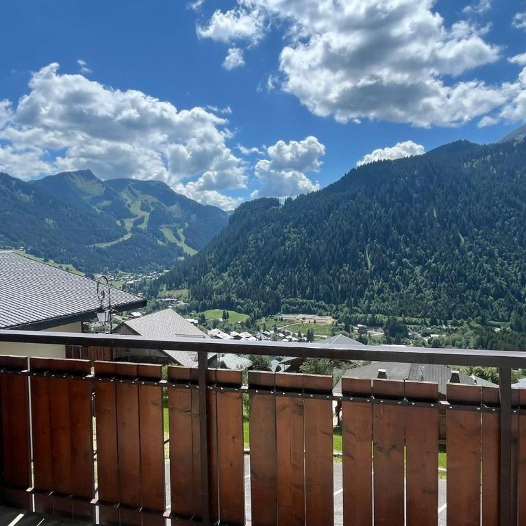 Châtel: T2 cosy 4 pers avec balcon - FR-1-198-268 - Appartement - 22