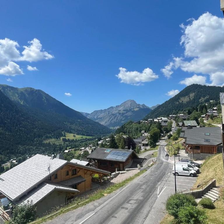 Châtel: T2 cosy 4 pers avec balcon - FR-1-198-268 - Appartement - 23