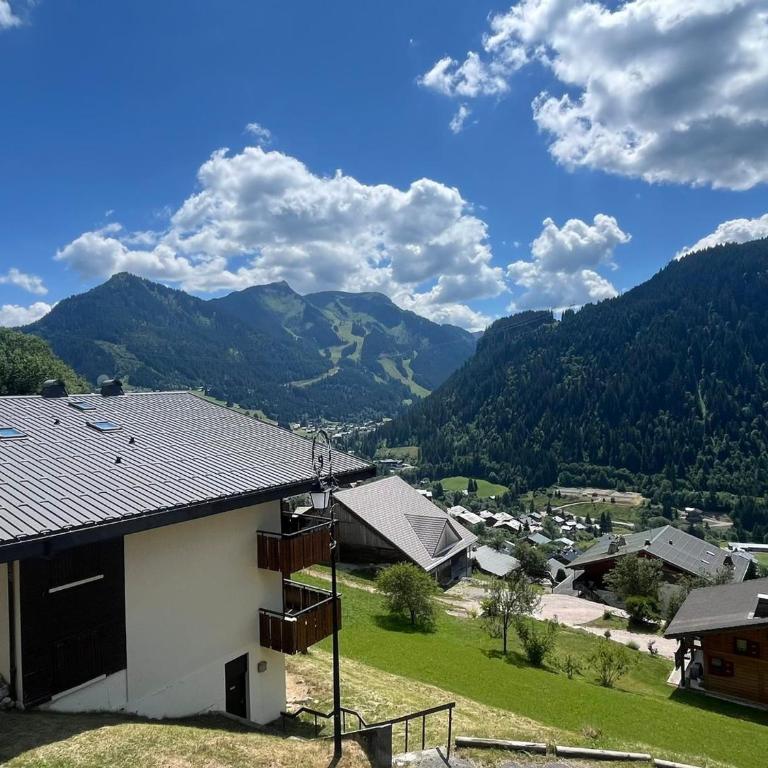 Châtel: T2 cosy 4 pers avec balcon - FR-1-198-268 - Appartement - 24