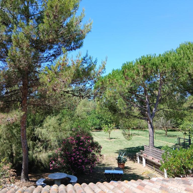 Mas d'Alivon - Chambre Double - Vue sur Jardin - 7