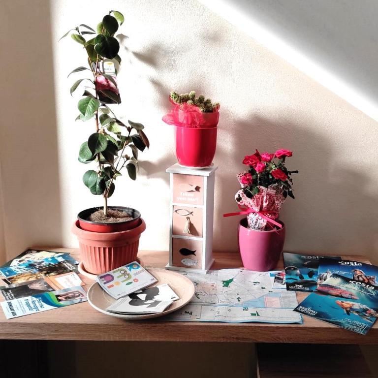 APPARTAMENTI RIMINI NEL CUORE - Appartamento con 2 Camere da Letto - 22