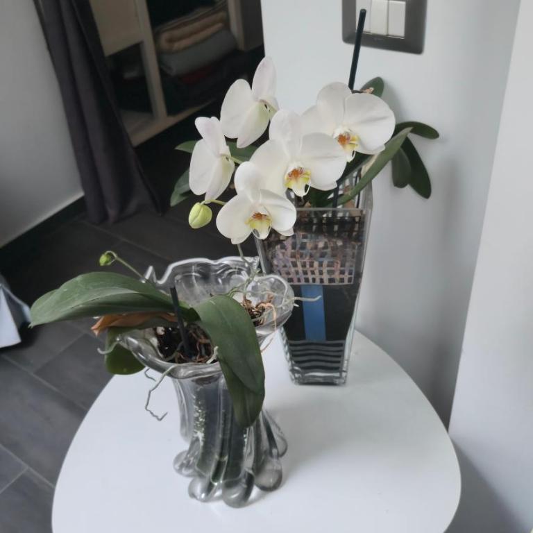 Geko Suite Toledo - Monolocale Familiare - 18