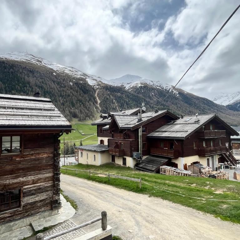 Fior d'Alpe Apartment - Appartamento - Piano Terra - 1
