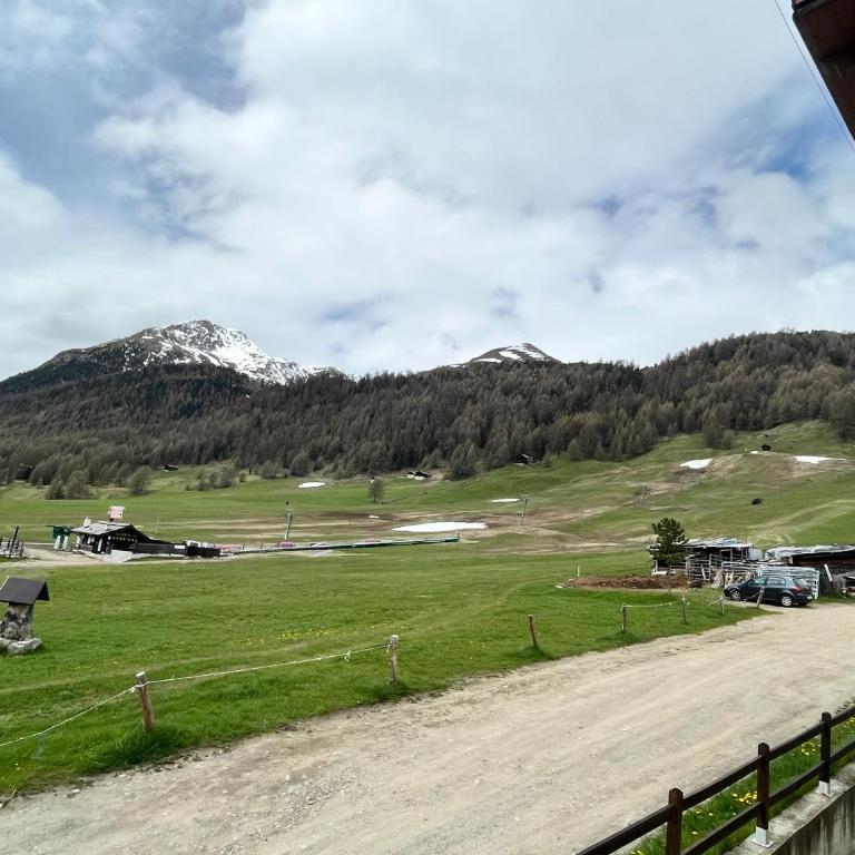 Fior d'Alpe Apartment - Appartamento - Piano Terra - 2