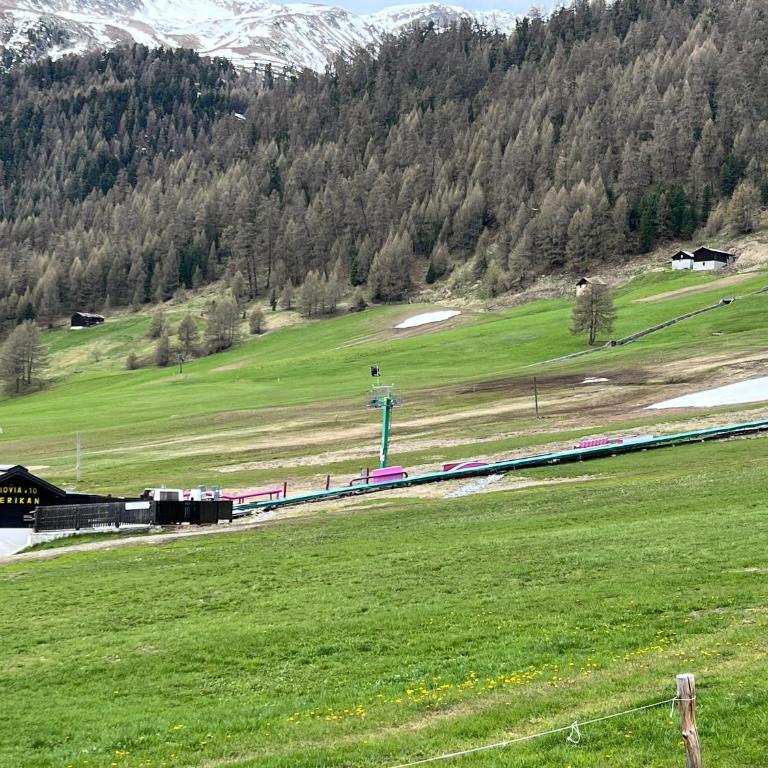 Fior d'Alpe Apartment - Appartamento - Piano Terra - 3