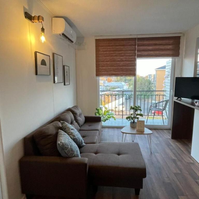 Vista Cordillera Chillán - Two-Bedroom Apartment with Mountain View - 4