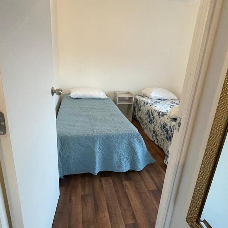 Vista Cordillera Chillán - Two-Bedroom Apartment with Mountain View - 6